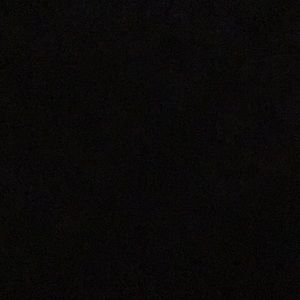 Meet your Posher, Phoebe